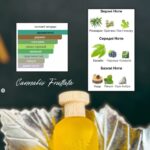 Bois 1920 Cannabis Fruttata - Зображення 3