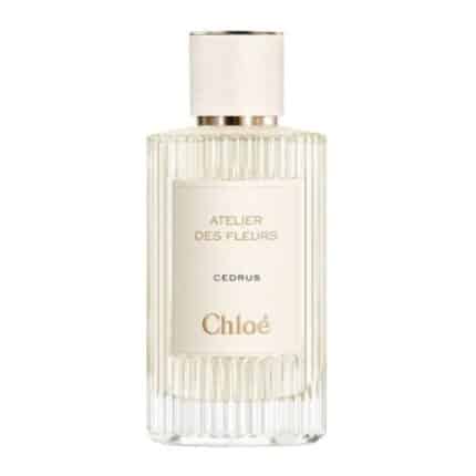 Chloé Cedrus