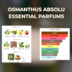 Essential Parfums Osmanthus Absolu - Зображення 3