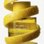New Notes Pomelo Malindi - Зображення 2