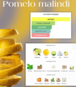 New Notes Pomelo Malindi - Зображення 3